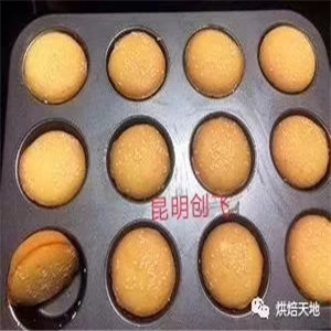 從入門到創(chuàng)業(yè) 網(wǎng)紅西點蛋糕學(xué)習(xí)指南與甜味烘焙產(chǎn)品進(jìn)階之路